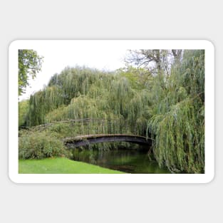 bridge and weeping willow trees Sticker